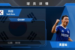 回归德甲！韩国前锋黄喜灿加盟沙尔克04⚽️来看集锦吧
